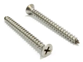 10 X 2'' Stainless Flat Head Phillips Wood Screw, (100 pc), 18-8 (304) Stainless Steel