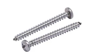 10 X 2" Stainless Pan Head Phillips Wood Screw, (25pc), 18-8 (304) Stainless Steel Screws